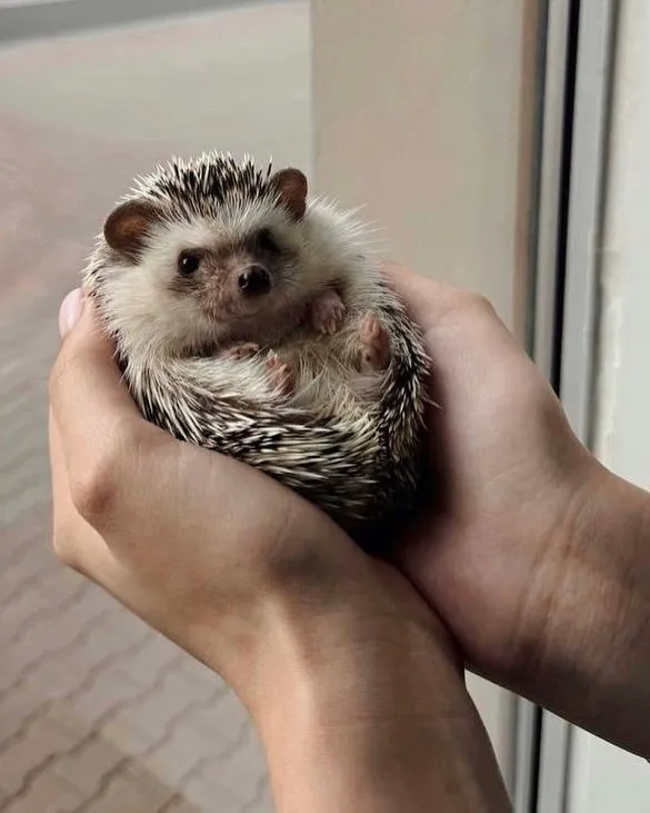 Большой гид для родителей: 10+ мест, куда сходить с ребенком в любую погоду в Минске и Минской области