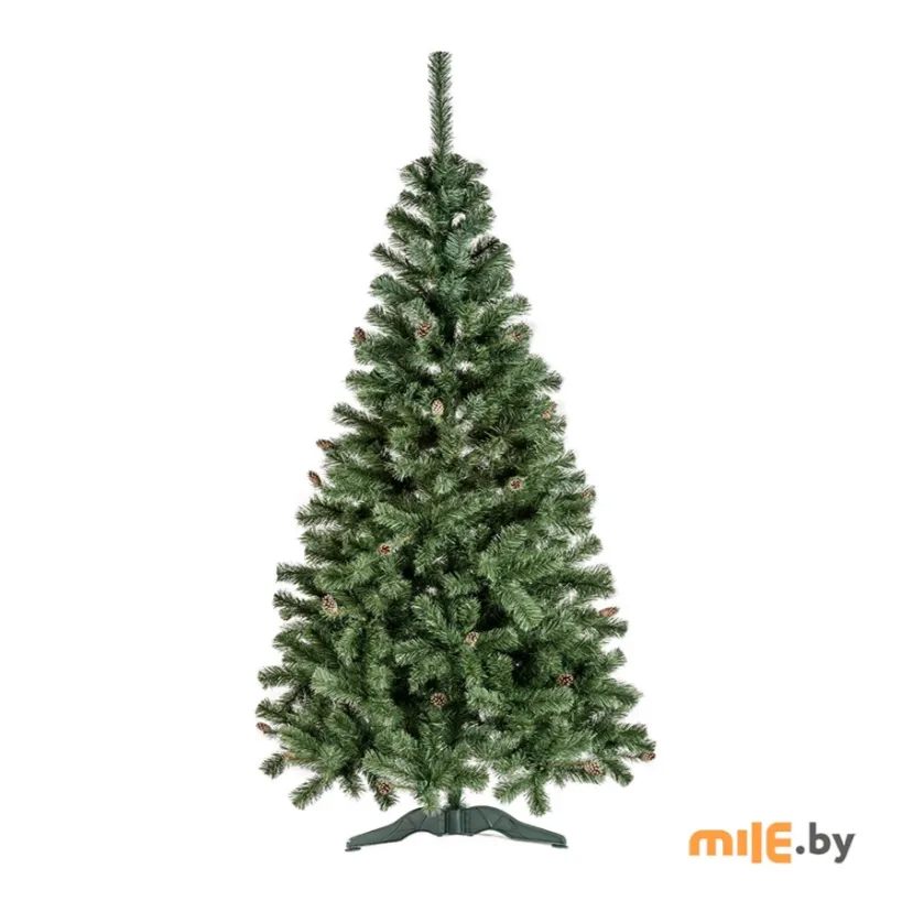 Операция «Новый год»: где в Минске купить идеальную елку, самые стильные игрушки и праздничную посуду