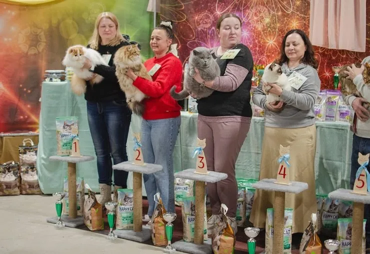 Международная выставка кошек «Вальс цветов»