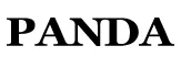 Баннер компании Panda Kids