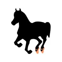 Баннер компании Версаль