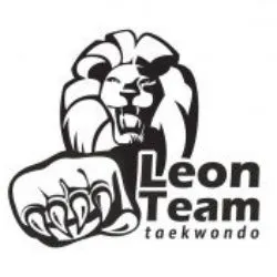 Баннер компании TAEKWONDO LEON TEAM