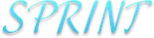 Баннер компании SPRINT