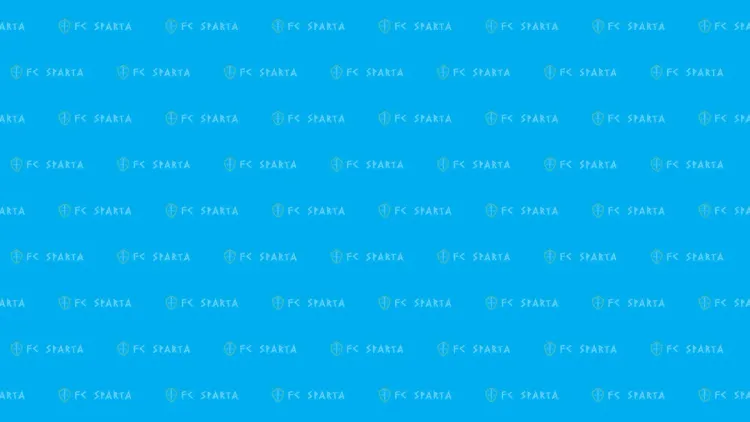 Баннер компании Спарта
