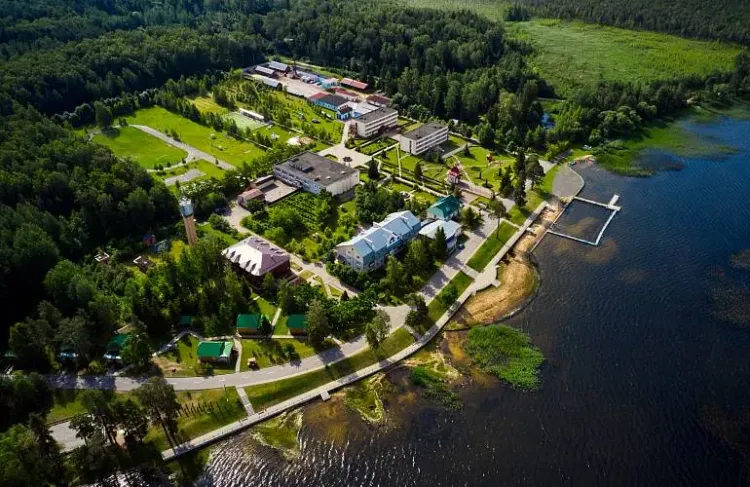 Баннер компании Санаторий «Росинка»