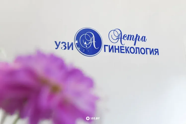 Астра - Главное фото