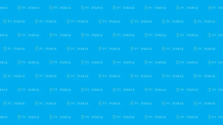 Баннер компании Спарта