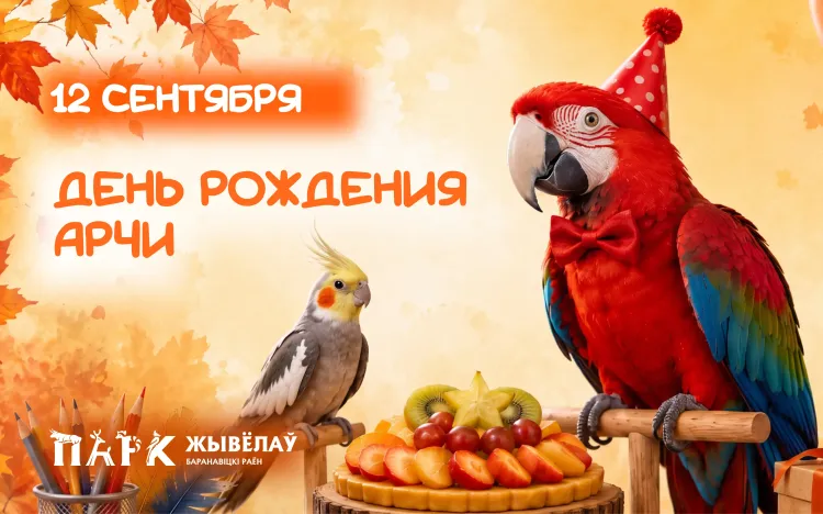 День Рождения Арчи