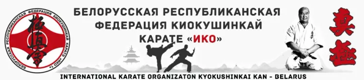 Баннер компании Каратэ Киокушинкай