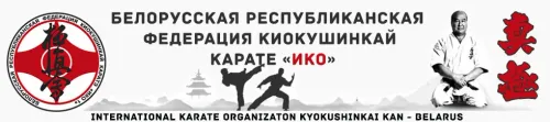 Логотип Каратэ Киокушинкай