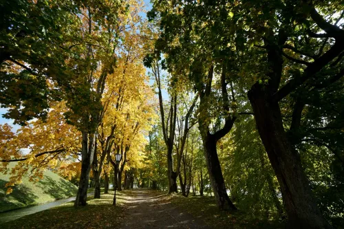 Парк в Скиделе, экотропа в Румлеве и площадка в Мире: что появится на Гродненщине до конца года