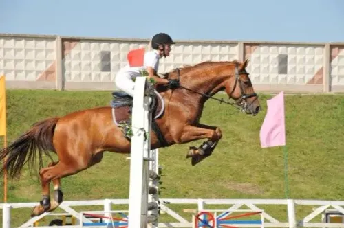 Баннер компании By Alesia Tarasevich