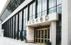 Логотип Пионер