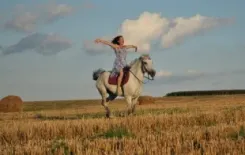 Логотип Дикие Сайгаки