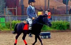 Логотип Кавалькада (Минский зоопарк)