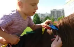 Логотип Частная конюшня ИП Стец