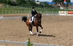 Логотип Центр им. Доватора (РАТОМКА)