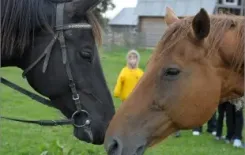 Логотип Продиус