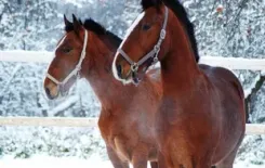 Логотип ИП Титовец