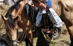 Логотип Гаспадар