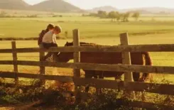 Логотип Айсора