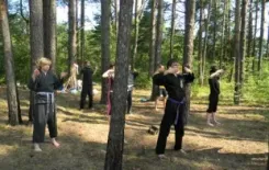 Логотип Вьет Во Дао