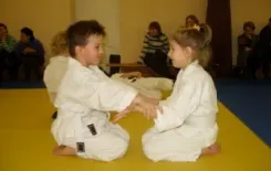 Логотип Беларускае Таварыства Кі-Айкідо