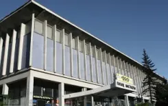 Логотип Дворец искусств