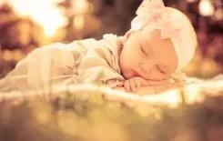 Логотип Фотограф Алла Шилец