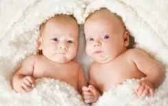 Логотип Фотограф Мария Шевченко