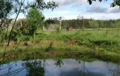 Логотип Забродье