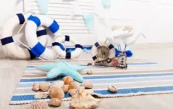 Логотип Фотостудия «КАТАФОТ»