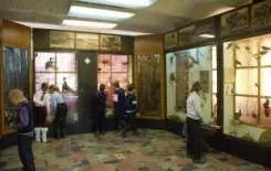 Логотип Музей природы и экологии