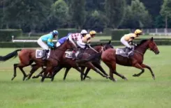 Логотип Зазерье