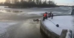 В Бресте 10-летний школьник сорвался с парапета набережной в реку, его достали спасатели