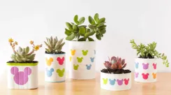 Делаем горшки для цветов из консервных банок: в стиле "Микки"