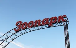 Будет весело: 1 июня Минский зоопарк устраивает вечеринку ко Дню защиты детей