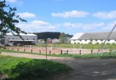 Логотип KSK Argamak