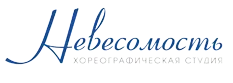 Логотип Невесомость