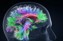 Любопытная история: после наркоза подросток забыл родной язык