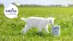 История создания бренда Kabrita®