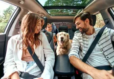 Куда поехать на выходные с семьёй в Беларуси: 5 загородных комплексов