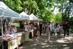 В Ботаническом саду Минска прошел масштабный праздник в честь Дня защиты детей