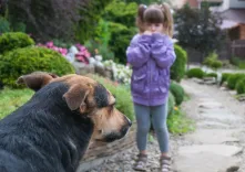 Как помочь своему ребенку преодолеть страх перед собаками?