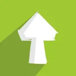 Логотип FUNGI Studio