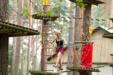 Логотип Джунгли-парк