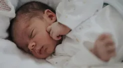 Бесплатное ЭКО: сколько процедур провели в Беларуси в 2023 году и какова их эффективность