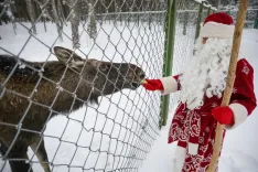 Домик Деда Мороза откроется 23 декабря в минском зоопарке