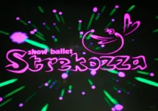 Логотип Strekozza