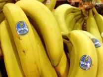 Будьте осторожны при покупке бананов! Знаете ли вы что означают наклейки?